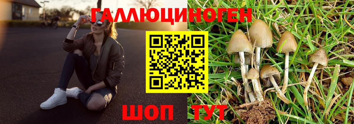 Галлюциногенные грибы ЛСД Искитим